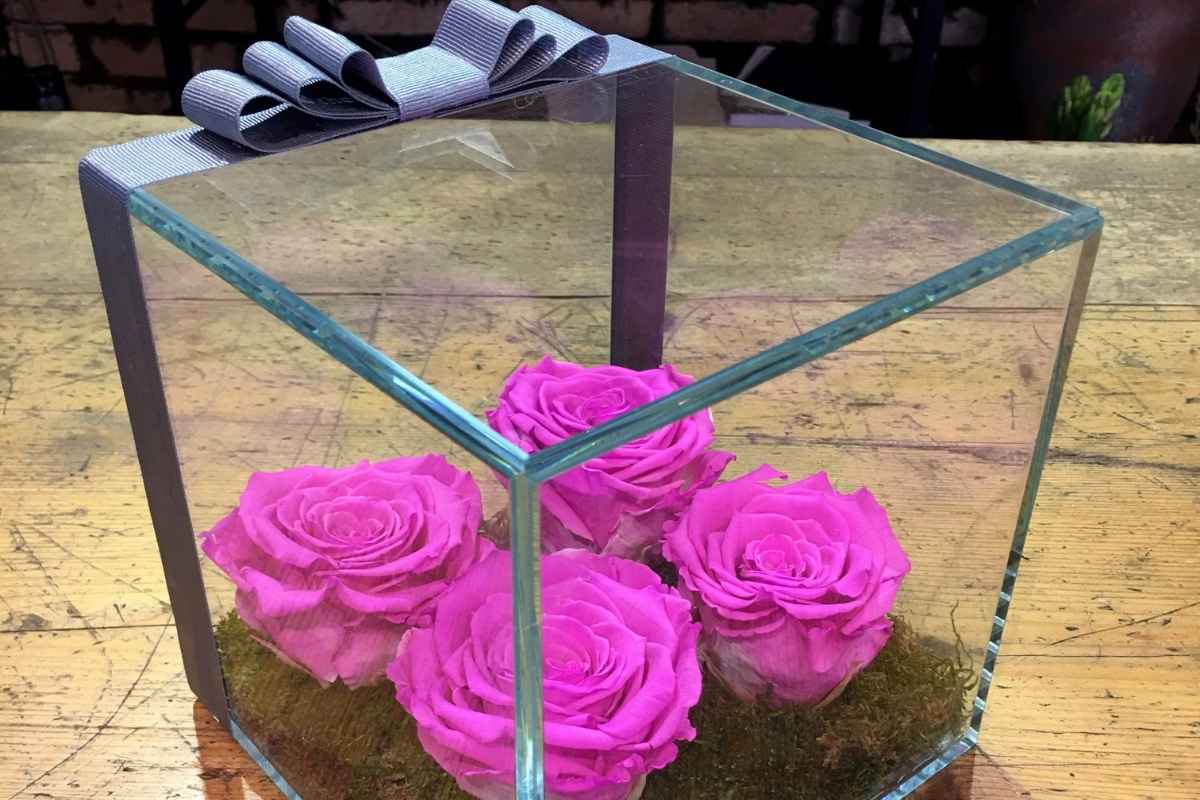 باکس پلکسی بله برون