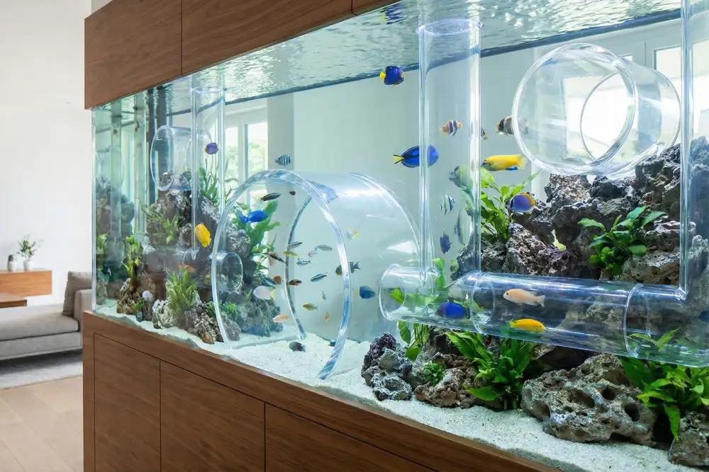 استفاده از لوله پلکسی در آکواریوم